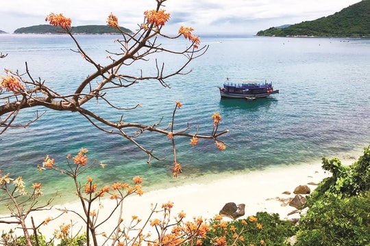 Sửa đổi, bổ sung một số điều về thành lập Khu bảo tồn Thiên nhiên Cù Lao Chàm