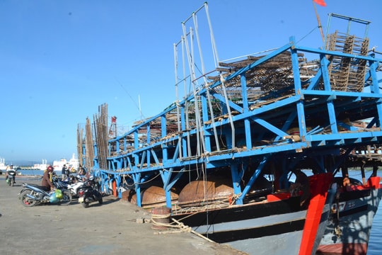 Quảng Nam phối hợp xử lý tàu cá trong và ngoài tỉnh vi phạm IUU