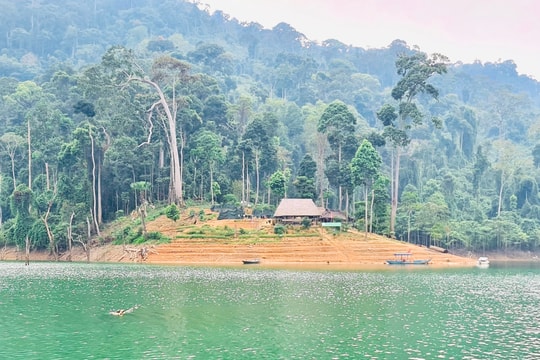 Nhiều vướng mắc cần tháo gỡ ở vườn quốc gia và các khu bảo tồn rừng Quảng Nam