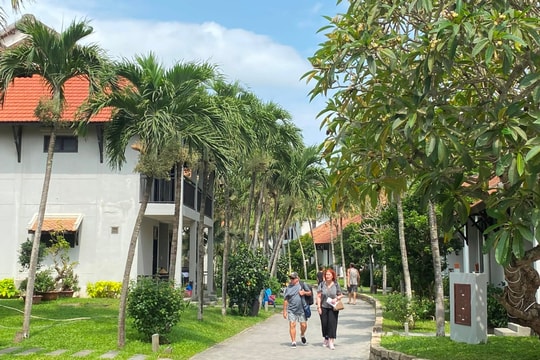 Biến động thị trường khách quốc tế đến Quảng Nam