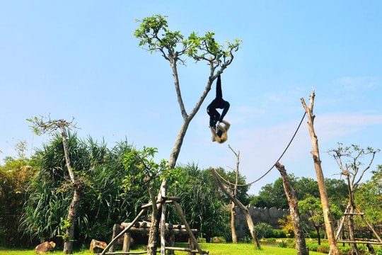 Đưa Quảng Nam trở thành "đất lành" đa dạng sinh học