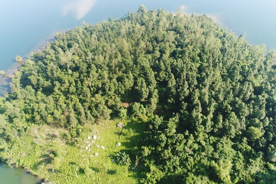 Yêu cầu làm rõ đối tượng phá rừng phòng hộ Phú Ninh