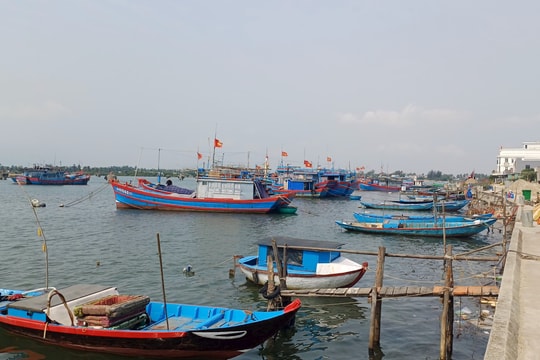 Chủ tàu ở Núi Thành khó tìm bạn biển