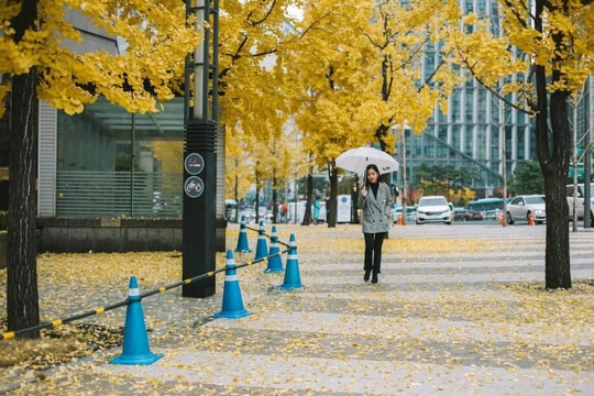 Giữ ký ức sau mỗi chặng đường...