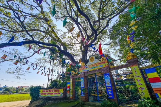 Hành hương... về xứ Quảng