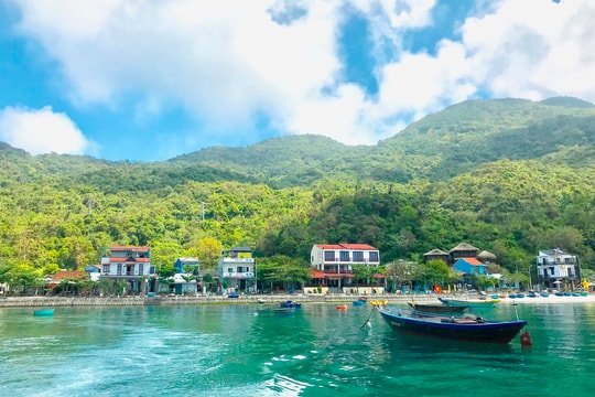 Thành lập Hội đồng thẩm định dự án thành lập Khu bảo tồn thiên nhiên Cù Lao Chàm