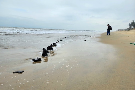 Khẩn trương thẩm định phương án khai quật hiện vật nghi là cổ vật ở bờ biển Hội An