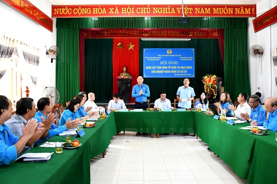 Khảo sát tổ chức và hoạt động của các nghiệp đoàn nghề cá huyện Núi Thành