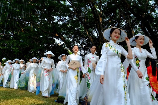 Phụ nữ Tam Kỳ khoe sắc cùng hoa sưa