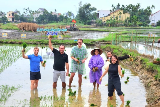 Đẩy mạnh quảng bá du lịch nông nghiệp, nông thôn qua các nền tảng số
