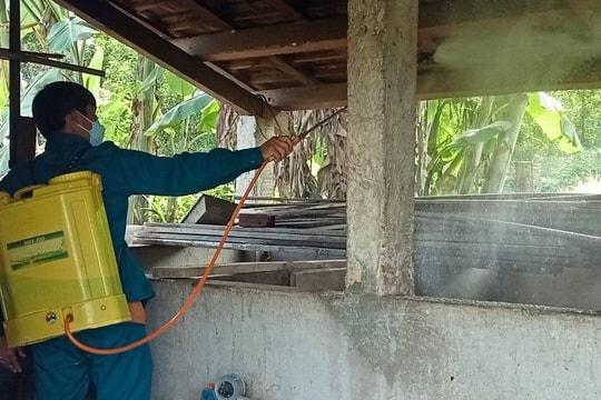 Tăng cường biện pháp phòng chống bệnh dịch tả lợn châu Phi