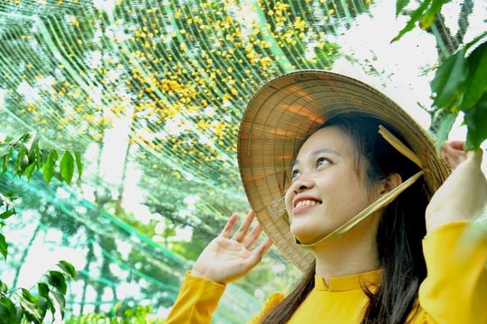 Những hình ảnh đẹp của Tam Kỳ trong mùa lễ hội hoa sưa