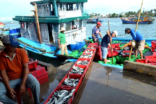 Ban Bí thư yêu cầu thực hiện gỡ cảnh báo 'Thẻ vàng' trong năm 2024