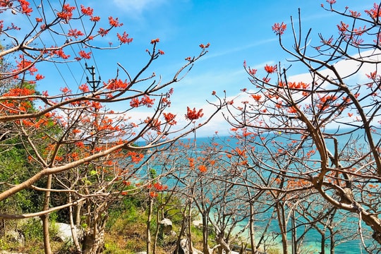 Hội An tạm dừng các hoạt động văn hóa, văn nghệ, vui chơi, giải trí