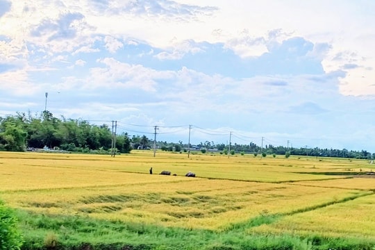 Phía... lưng chừng phố