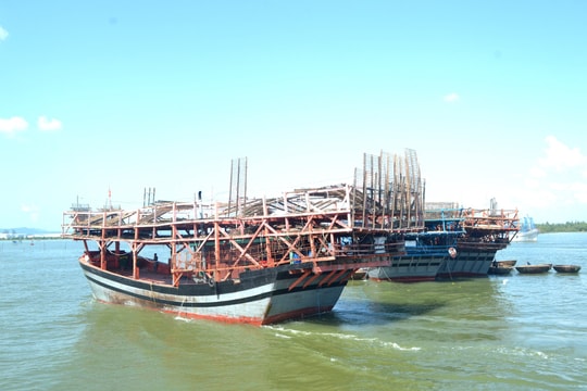 Tăng cường chống khai thác hải sản bất hợp pháp