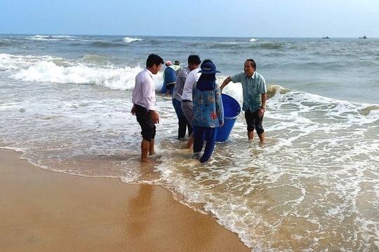 Sửa đổi bổ sung một số điều về thi hành Luật Thủy sản