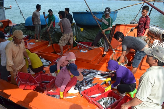 Cơ cấu lại ngành thủy sản theo hướng chuyển từ khai thác thiếu bền vững sang phát triển bền vững