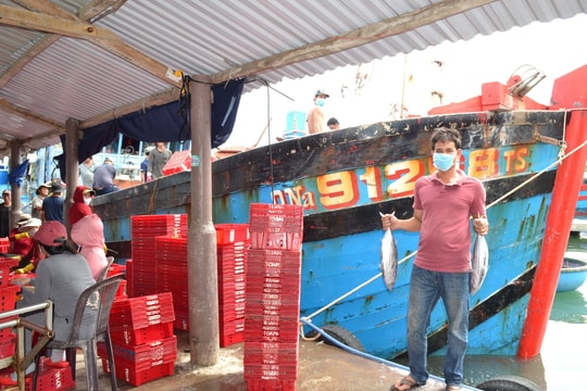 Xây dựng tài liệu an toàn vệ sinh lao động trên tàu cá