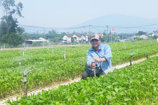 Nông dân Quế Sơn thi đua làm kinh tế