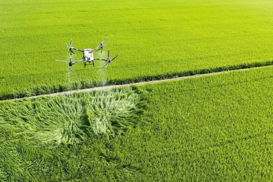 Việt Nam hướng tới nền nông nghiệp bền vững