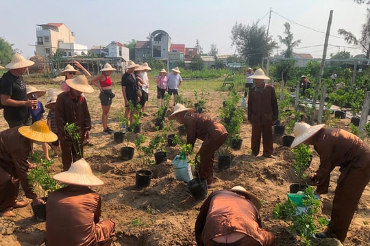 Xã Cẩm Hà ra mắt tổ hợp tác “Du lịch cộng đồng gắn với nghề truyền thống trồng quật”