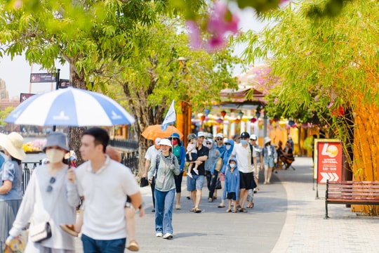 Vinwonders Nam Hội An giảm giá vé tri ân du khách 5 tỉnh, thành phố