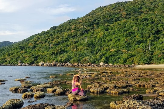 Ở lại với Cù Lao Chàm