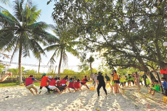 Lang thang về biển