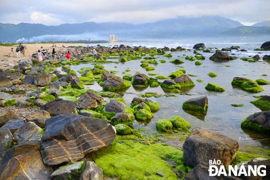 Dọn dẹp vệ sinh môi trường quanh ghềnh đá Nam Ô