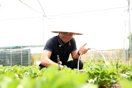 Đến cuối tháng 4/2024, tổng dư nợ cho vay nông nghiệp, nông thôn đạt 28.750 tỷ đồng