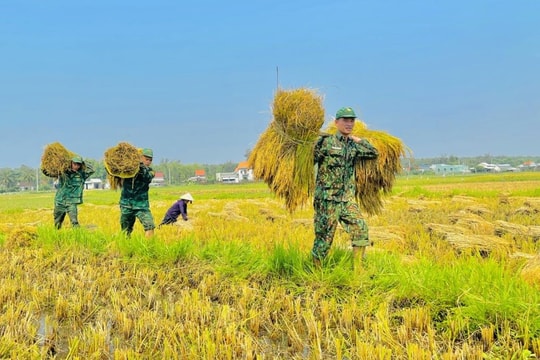 Chiến sĩ biên phòng xung kích giúp dân