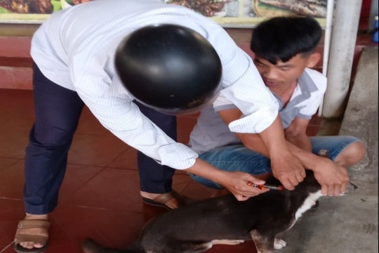 Tam Kỳ chủ động phòng chống bệnh dại