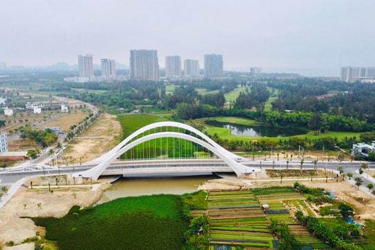 Những cây cầu nối đôi bờ Cổ Cò