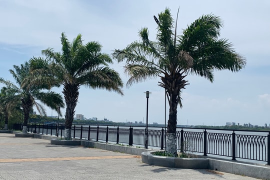 Hoàn thành thi công hạ tầng phố đi bộ Bạch Đằng và du lịch về đêm trên cầu Nguyễn Văn Trỗi