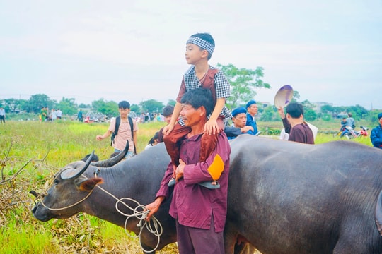 Đặc sắc lễ hội Mục đồng làng Phong Lệ