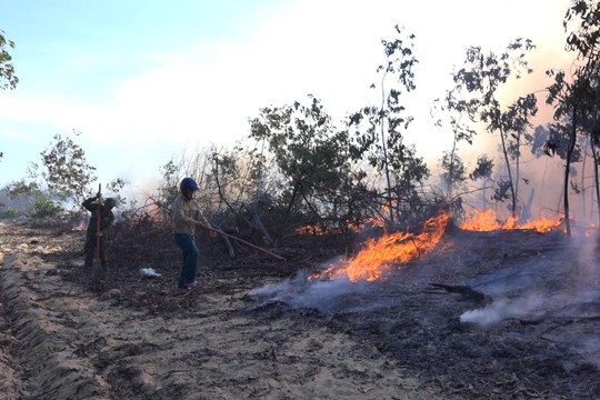 Quảng Nam cần hỗ trợ kinh phí để phòng cháy chữa cháy rừng