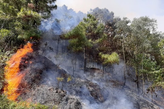 Tiếp tục triển khai quyết liệt các biện pháp cấp bách phòng cháy, chữa cháy rừng