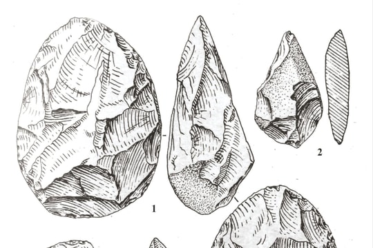 Cồn sò điệp Bàu Dũ và cái nhìn hướng biển