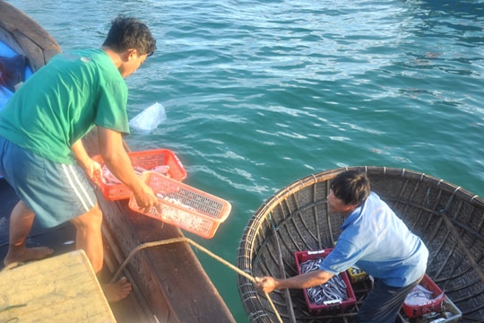 Tổng sản lượng thủy sản 4 tháng đầu năm ước đạt gần 35 nghìn tấn