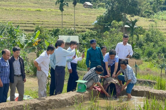 4 tháng đầu năm, Nam Trà My cho 589 hộ vay vốn chính sách