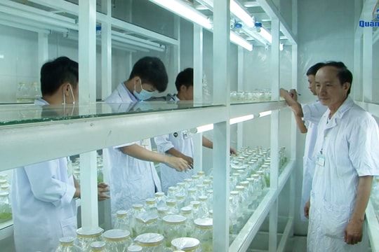 Ươm mầm ý tưởng khởi nghiệp của học sinh sinh viên trong nhà trường