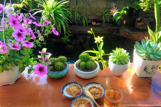 Về ăn bánh bèo Phú Bông