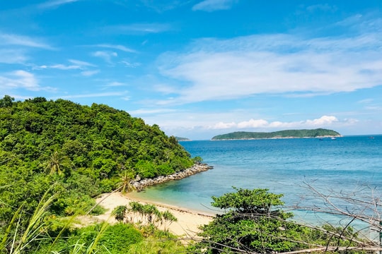 Thành lập Khu bảo tồn thiên nhiên Cù Lao Chàm