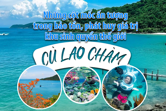Những cột mốc ấn tượng trong bảo tồn, phát huy giá trị khu sinh quyển thế giới Cù Lao Chàm 