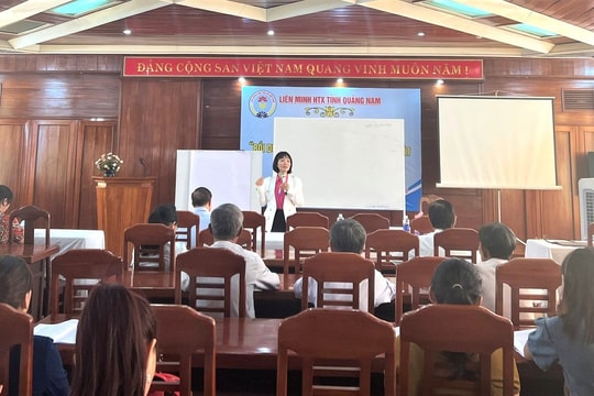 Liên minh Hợp tác xã Quảng Nam tập huấn nghiệp vụ kiểm soát hợp tác xã