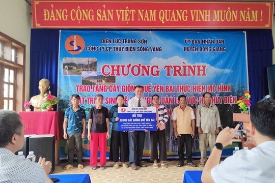 Cấp 20 nghìn cây quế giống Yên Bái cho người dân lưu vực thủy điện An Điềm II