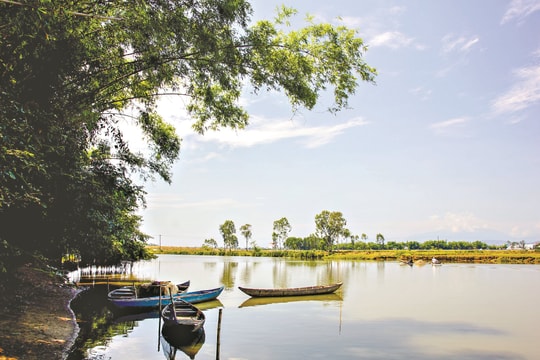 Dưới bóng tre ru...