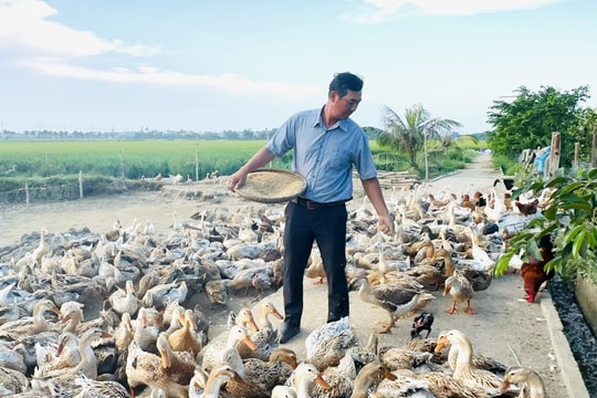 Nông dân Hội An thi đua sản xuất kinh doanh giỏi