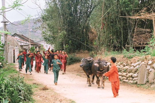 Cội rễ mạch nguồn văn hóa